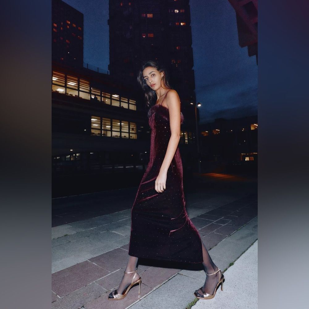ZARA VELVET BEADED FAUX FUR MIDI DRESS - Picture 8 of 13